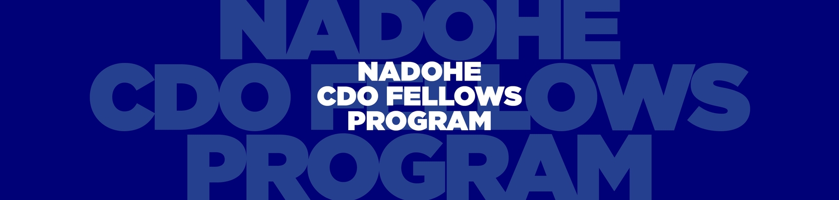 2022 - 2023 CDO Fellows Program